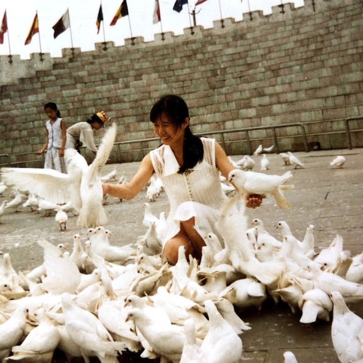 如水如诗的年华 1
