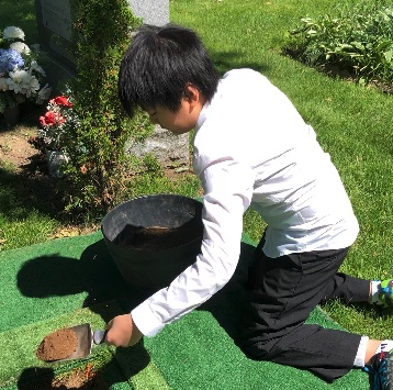 安息之地 6